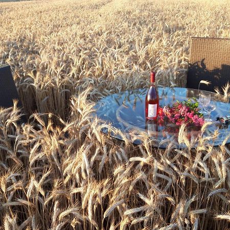 Ein Bett Im Kornfeld - Haus Morgensonne - Mit Innenpool Schonfeld  Exterior photo